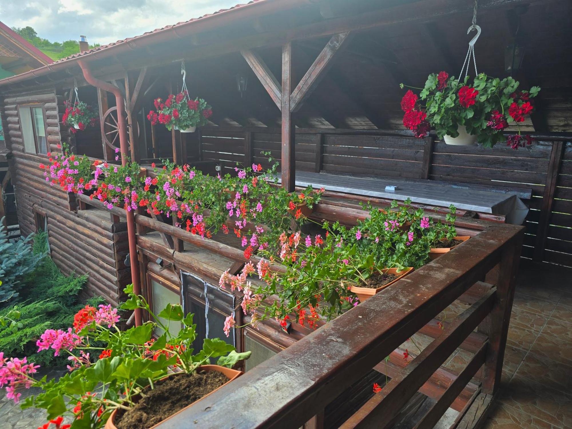 Casa Baciu Villa Turda Esterno foto