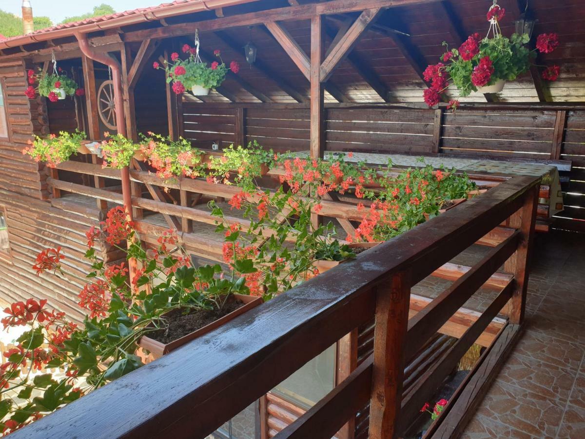 Casa Baciu Villa Turda Esterno foto